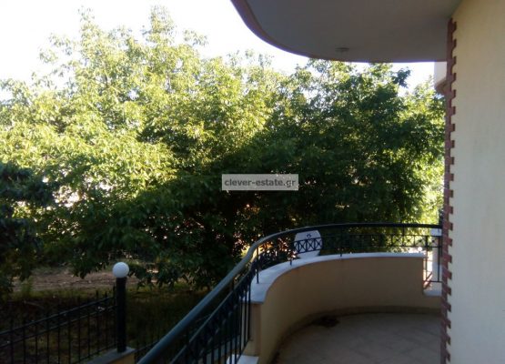 image_1 (1)