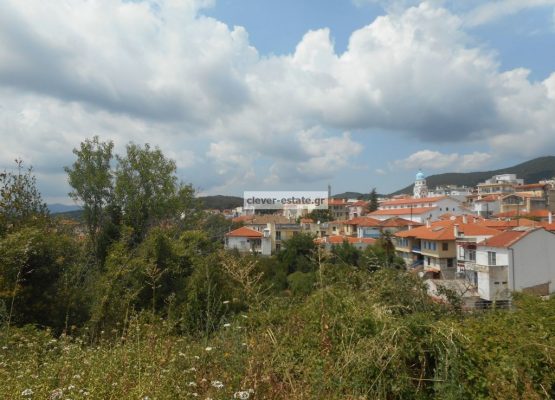 image_3 (1)