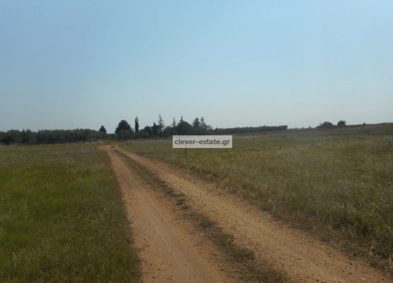 image_3 (1)