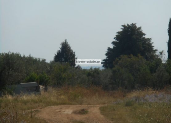 image_4 (1)