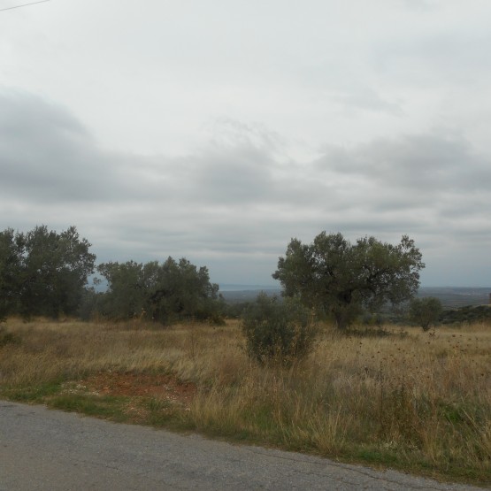 dscn1311