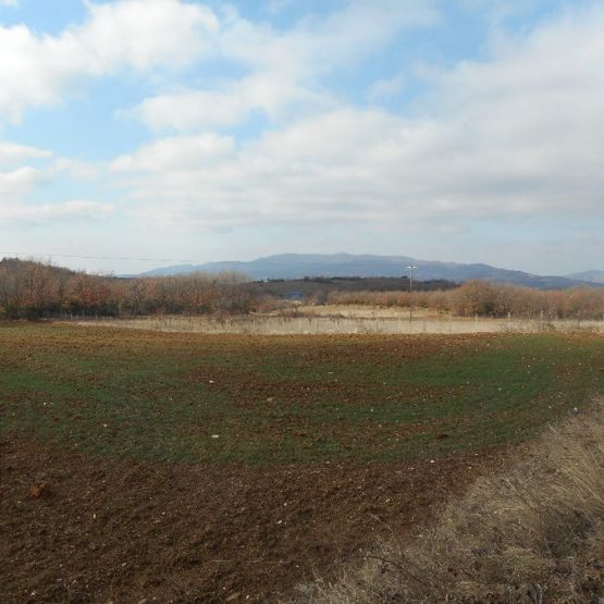 103096090_900x675 (1)