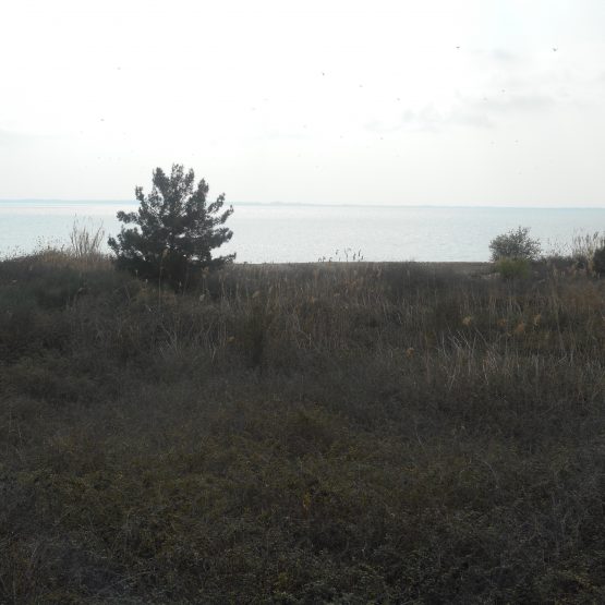 DSCN1704