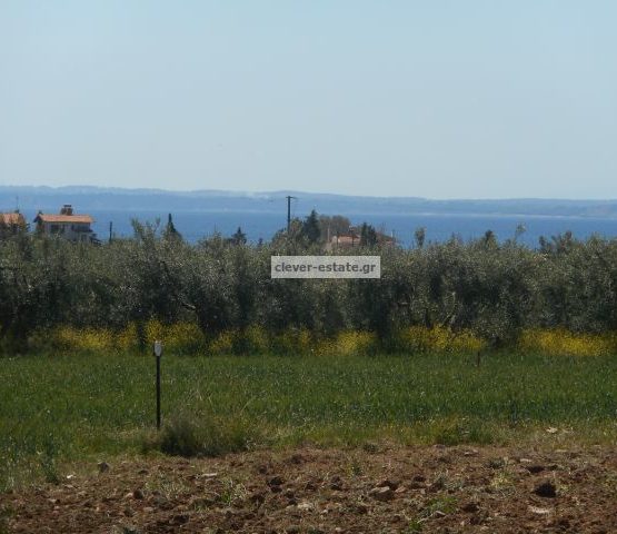 clever-estate.gr_1091_1